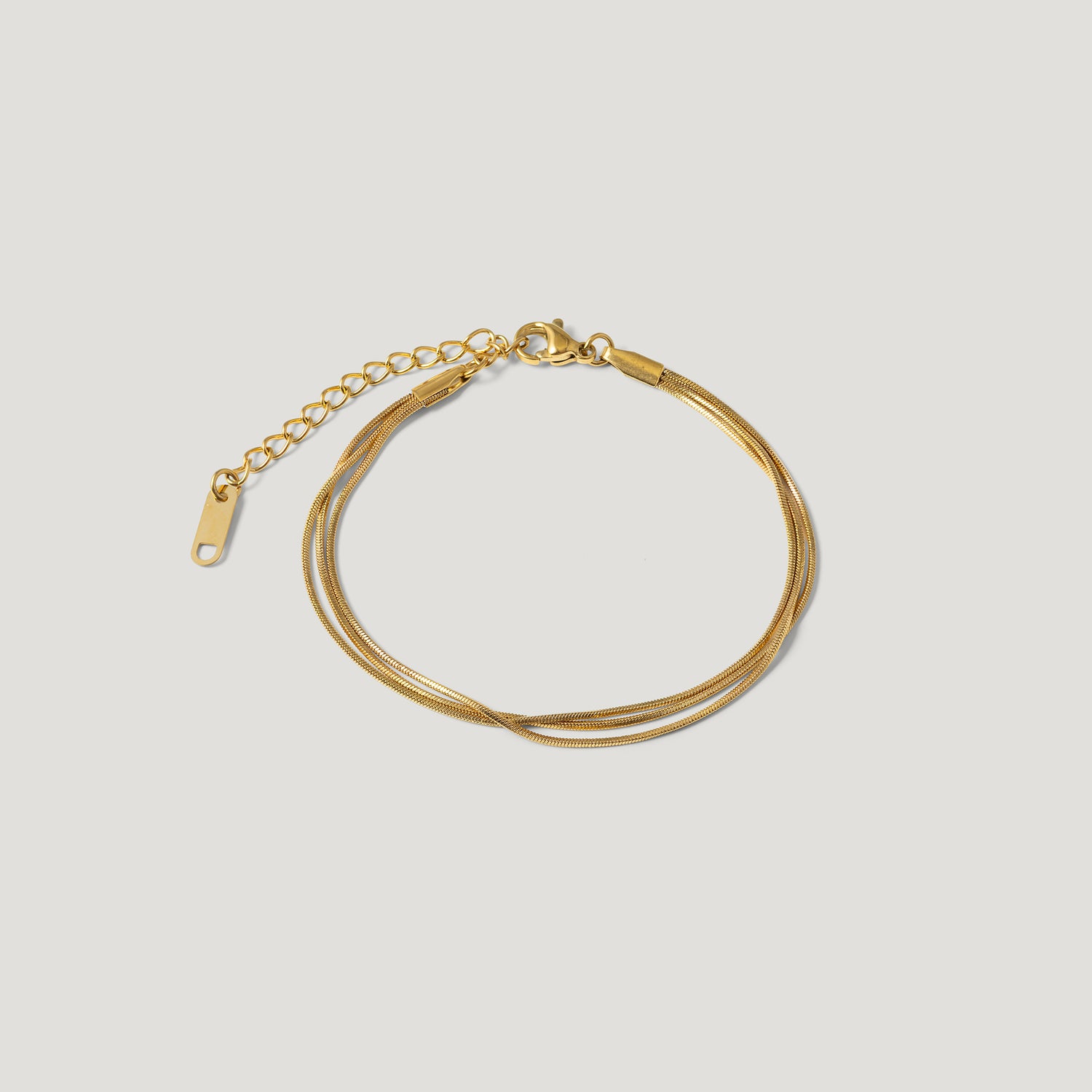 Sentier Snake Chain Bracelet